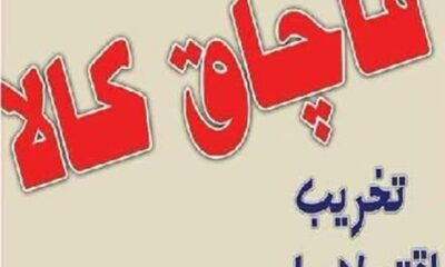 انبار کالای قاچاق در دشتستان پلمب شد