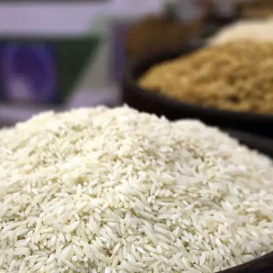 برنج درجه یک ایرانی ۱۵۵ درصد گران شد؛ کمبود کالری در سفره‌ها