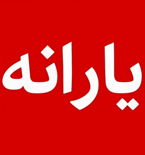 دولت پیشنهاد حذف ۱۵ میلیون نفر از یارانه‌بگیران را مطرح کرد؛ چه کسانی می‌مانند؟