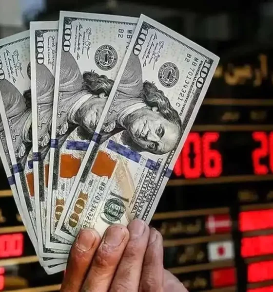 قیمت امروز دلار تعجب آور شد ( امروز سه شنبه ۲۰ آبان ۱۴۰۴)