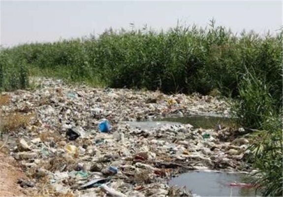 آبیاری گندم و جو با فاضلاب/تقابل اراده مسئولان و منافع مالی سودجویان