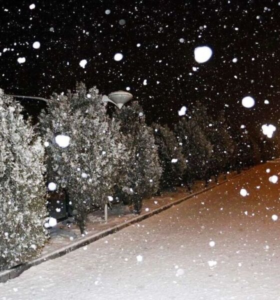 بارش برف در تهران آغاز شد / پایتخت‌نشینان آماده بارش‌های شدیدتر باشند