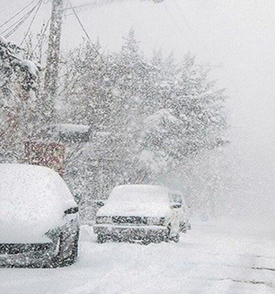 بارش برف در ۲۲ استان از فردا / کاهش شدید دما در راه است