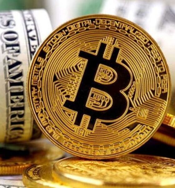 بیت‌کوین نتوانست از سقوط سالانه فرار کند/ سردرگمی سرمایه‌گذاران بازار رمزارز