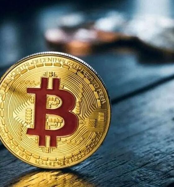 بیشترین ذخیره بیت‌کوین در اختیار کدام شرکت‌ها و کشورها است؟