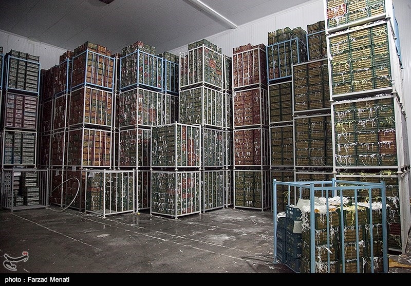 تجربه موفق تعاون روستایی در شرایط بحرانی/ وقتی دلالان از صحنه حذف میشوند| گفتوگو اخبار استان مرکزی ,