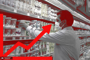 خاطره هشدارآمیز آیتالله سبحانی برای اهالی سیاست/ ناکارآمدی وزیر جهاد کشاورزی چگونه موجب گرانی شد؟