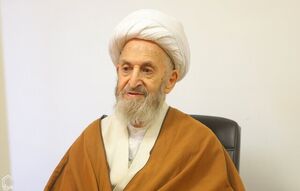 خاطره هشدارآمیز آیتالله سبحانی برای اهالی سیاست/ ناکارآمدی وزیر جهاد کشاورزی چگونه موجب گرانی شد؟