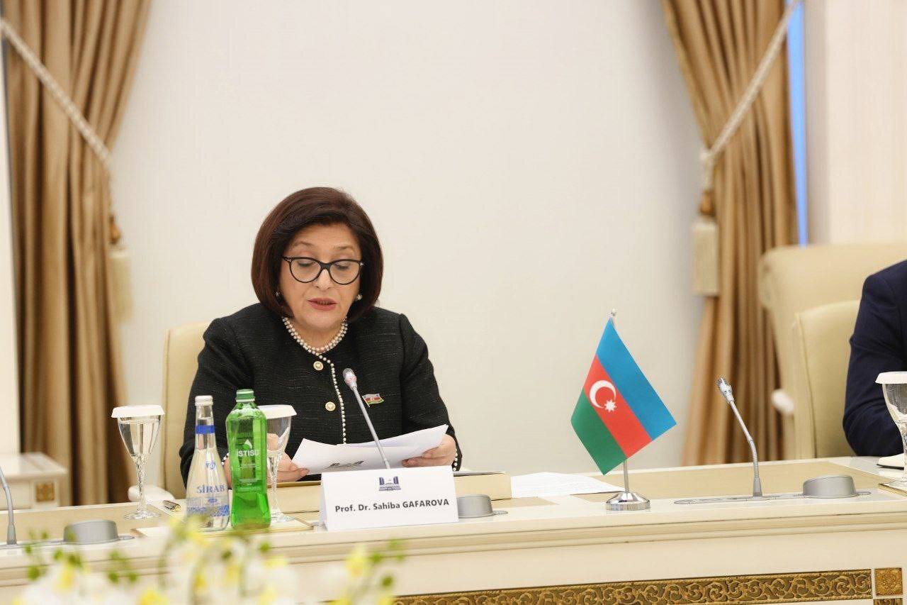 دیدار «عراقچی» با رئیس پارلمان جمهوری آذربایجان