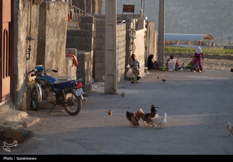 اخبار یاسوج , نظام مسائل استان کهگیلویه و بویراحمد , 