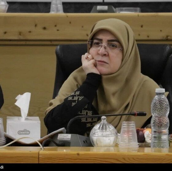 سخنگوی دولت: با طرح اصلاح قانون مهریه‌ مخالفت کردیم/‌ طرفدار اینترنت آزاد برای همه هستیم