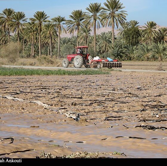 «سیلاب» سرمایه کشاورزان فاریاب را بلعید؛ هشدار درباره موج جدید بارندگی