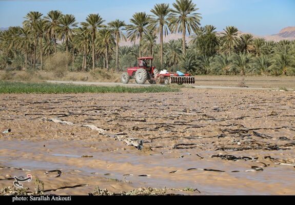 «سیلاب» سرمایه کشاورزان فاریاب را بلعید؛ هشدار درباره موج جدید بارندگی