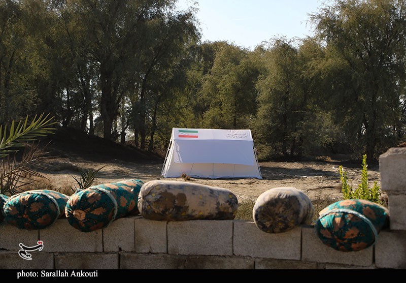 استان کرمان , اخبار استان کرمان , کشاورزی , سیل , بارندگی , 