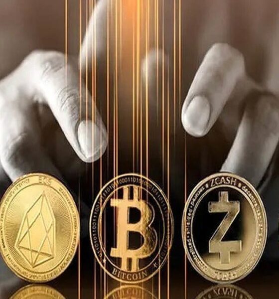 قیمت ارز‌های دیجیتال امروز چهارشنبه ۳ دی ۱۴۰۴ / بیت‌کوین در محدوده ۱۱۷ میلیارد ریال ثابت ماند