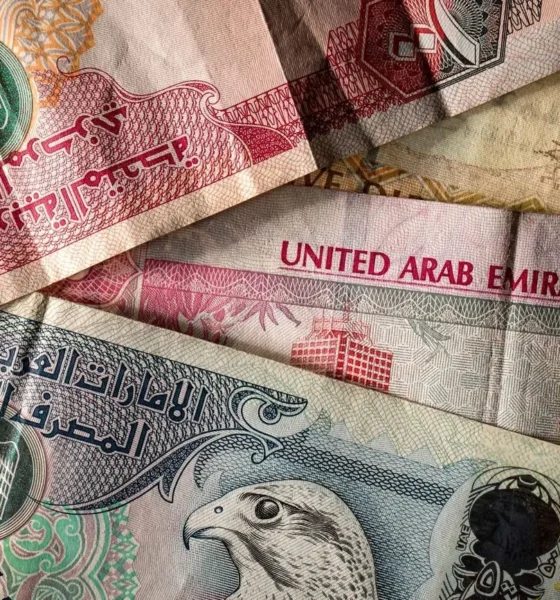 قیمت درهم امارات امروز دوشنبه 17 آذر/ افزایش قیمت درهم + جدول