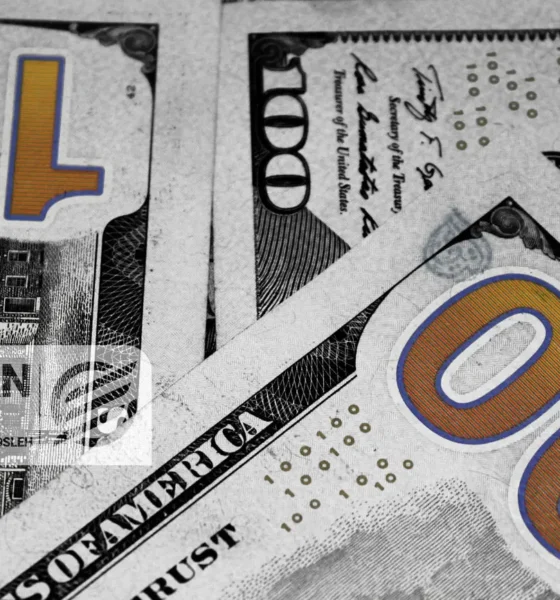 قیمت دلار و یورو امروز دوشنبه 1 دی 1404/ جزئیات کامل