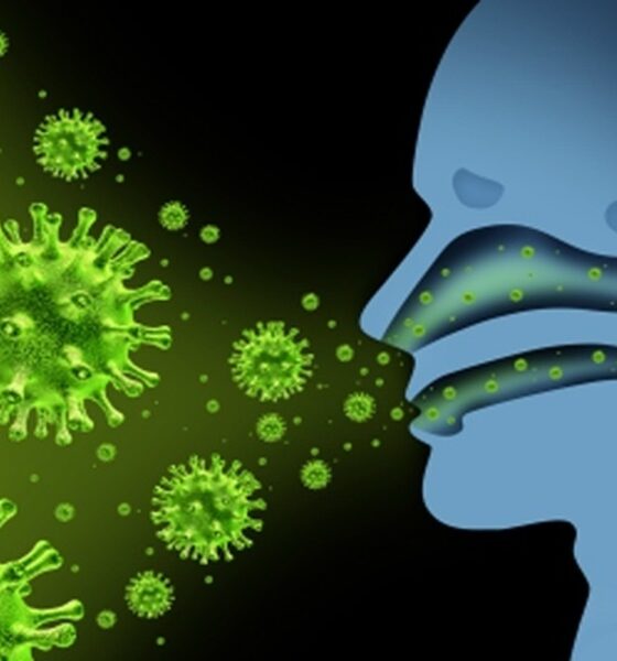 موج آنفلوآنزا در یزد از آستانه هشدار گذشت / فوت ۷ نفر بر اثر ابتلا به آنفلوآنزا