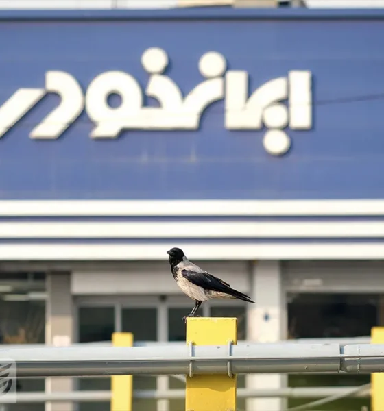 نتایج قرعه‌کشی ایران‌خودرو: وضعیت خودروی هایما را با کد ملی ببینید