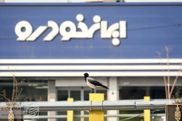 نتایج قرعه‌کشی ایران‌خودرو: وضعیت خودروی هایما را با کد ملی ببینید