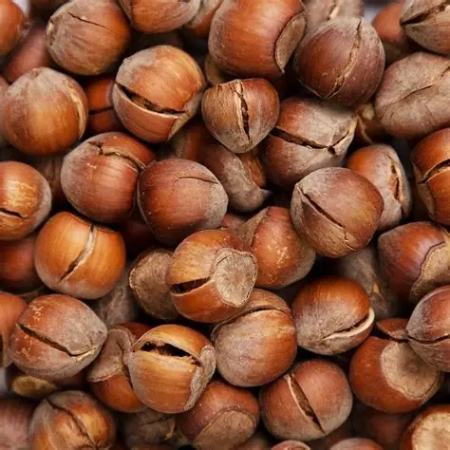 انواع فندق و پسته ایرانی,خواص  فندق و پسته 