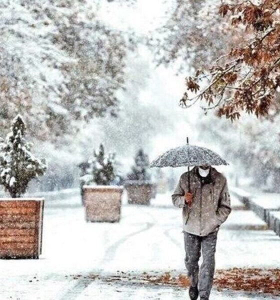 هشدار نارنجی هواشناسی / موج سرمای بی‌سابقه از این تاریخ وارد پایتخت می‌شود