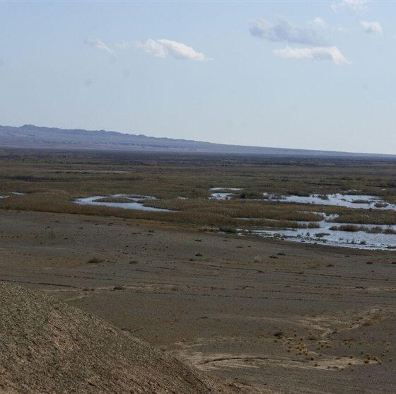 وضعیت نگران‌کننده تالاب بندعلیخان؛ 2 مصوبه رسمی دولت و استان هنوز وارد مرحله اجرا نشده است