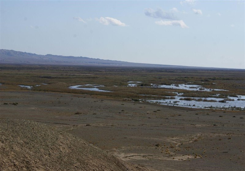 وضعیت نگران‌کننده تالاب بندعلیخان؛ 2 مصوبه رسمی دولت و استان هنوز وارد مرحله اجرا نشده است