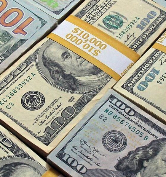 پهن الاغ گران‌تر از دلار شد!