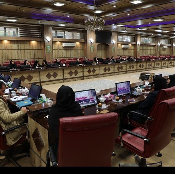 چالش‌های کارآفرینی در استان ایلام/ وقتی تبعیض جنسیتی هنوز در ساختار اداری زنده است!