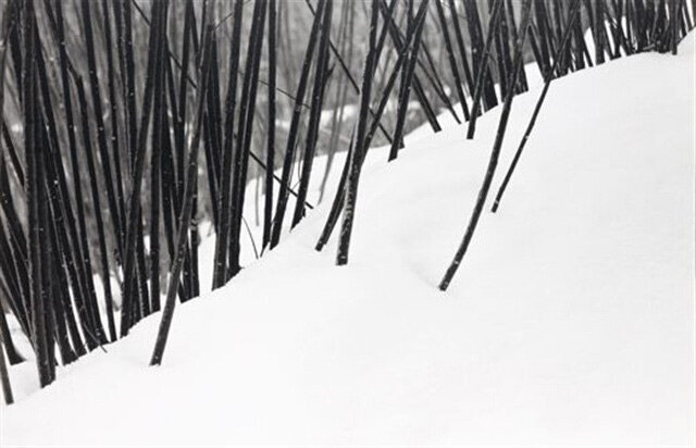 چرا عکسهای کیارستمی معروف شدند؟ چرا عکسهای کیارستمی معروف شدند؟