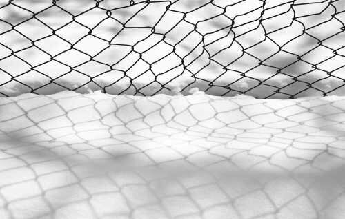 چرا عکسهای کیارستمی معروف شدند؟ مجموعه عکسهای عباس کیارستمی