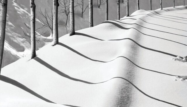 چرا عکسهای کیارستمی معروف شدند؟ عکسی از عباس کیارستمی که در حراج فلیپس به فروش رسید.