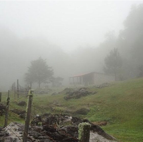 گردشگری پاییزی| ماجراجویی در قلب طبیعت بکر غرب ایران/ سفر به جغرافیای آرامش با چالش "مه"