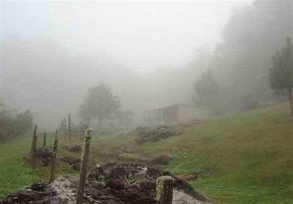 گردشگری پاییزی| ماجراجویی در قلب طبیعت بکر غرب ایران/ سفر به جغرافیای آرامش با چالش "مه" گردشگری پاییزی| ماجراجویی در قلب طبیعت بکر غرب ایران/ سفر به جغرافیای آرامش با چالش "مه"