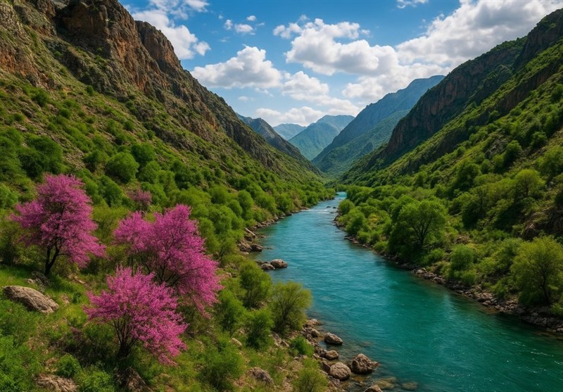 گردشگری پاییزی| ماجراجویی در قلب طبیعت بکر غرب ایران/ سفر به جغرافیای آرامش با چالش "مه" اخبار استان ایلام , سازمان میراث فرهنگی، صنایع دستی و گردشگری , وزارت میراث فرهنگی، گردشگری و صنایع دستی ,