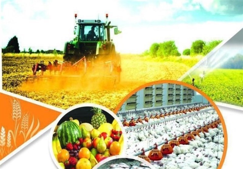 استاندارد، خط مقدم دفاع از سلامت، ایمنی و حقوق شهروندان سازمان ملی استاندارد ایران , اخبار استان همدان ,