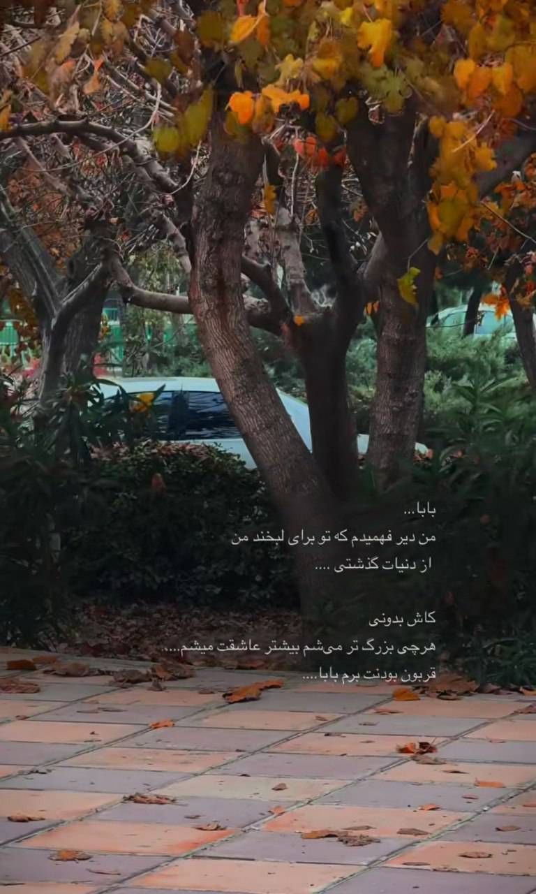 استوری روز پدر ۱۴۰۴ برای اینستاگرام / پدرم روزت مبارک