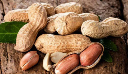 از بین بردن بوی کهنگی بادام زمینی از بین بردن بوی کهنگی بادام زمینی, بوی کهنگی بادام زمینی