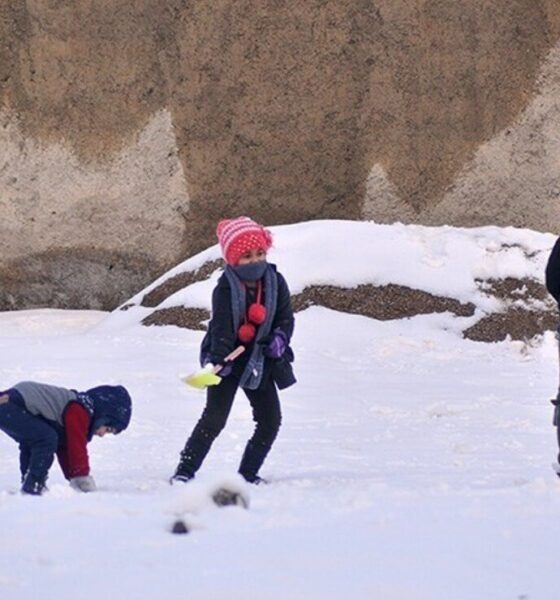 تعطیلی استان فارس فردا یکشنبه ۱۴ دی ۱۴۰۴ / مدارس شیراز تعطیل شد؟