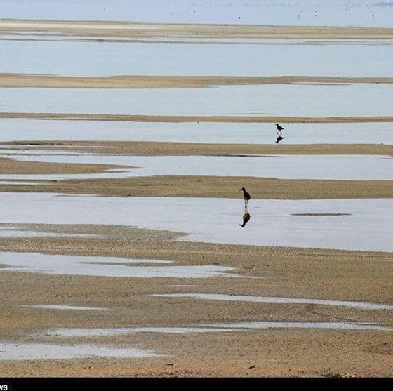 روایت تلخ تالاب میقان ؛ استخراج معدنی چگونه میقان را خشک کرد؟