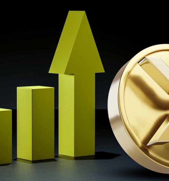 سه نمودار صعودی ریپل که باید در سال ۲۰۲۶ دنبال کرد