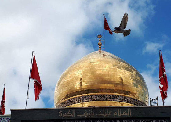 صبر آگاهانه حضرت زینب(س) عامل ماندگاری نهضت عاشورا و بیداری جامعه