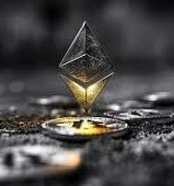 فراتر از یک دارایی دیجیتال، آیا با معمار آینده اینترنت آشنا هستید؟