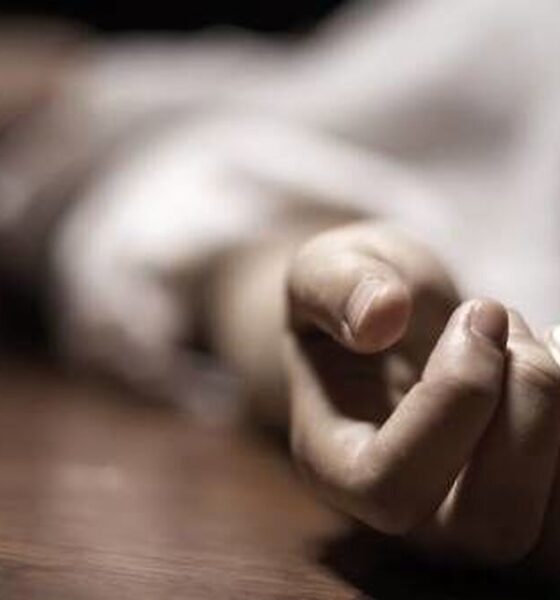 فوری/ چهره مشهور سینما درگذشت