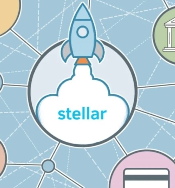 نکاتی در خصوص استلار که باید قبل از خرید بدانید