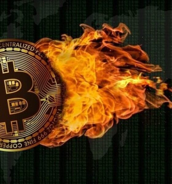 هزینه پنهان استخراج غیرمجاز رمزارز / ماینرها خانه را سوزاندند!