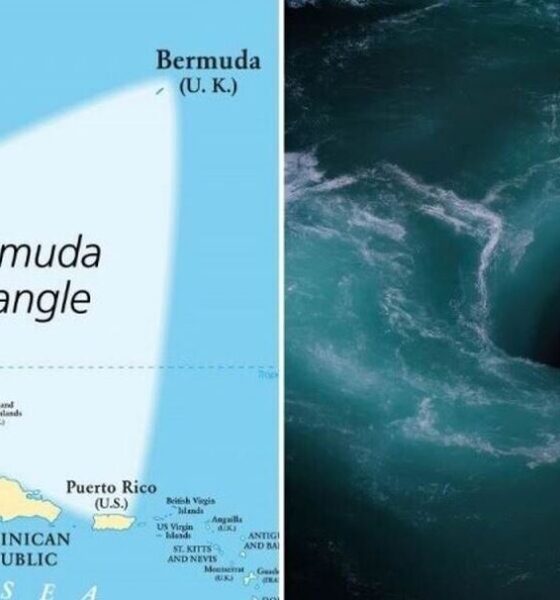 کشف راز‌های مثلث برمودا/ از حقایق تاریخی تا شایعات