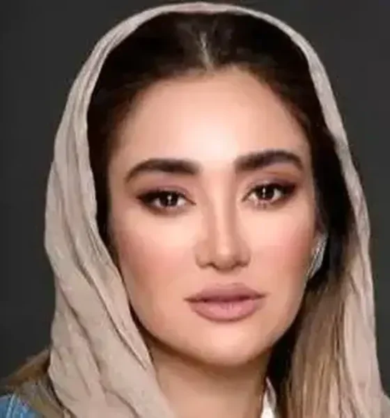 استوری تهدیدآمیز و تند بهاره افشاری علیه مجری شبکه افق+ عکس