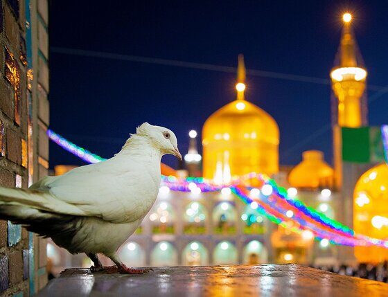 جنگ‌های شناختی در کلام و سیره امام رضا(ع) بررسی می شود